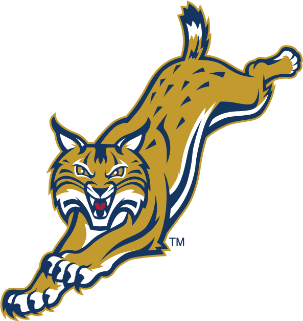 Quinnipiac Bobcats 2002-Pres Alternate Logo v6 iron on transfers for T-shirts